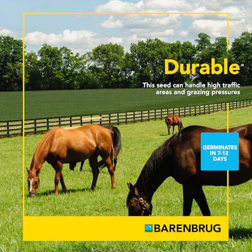 Pasture Seed, 25 lb 23094
