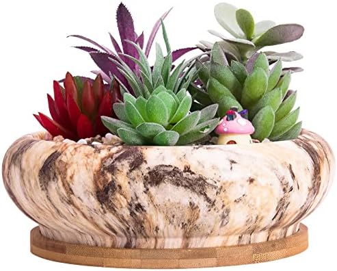 Succulent Pots, 7.3'' Large Bonsai Pots with Tray, Shallow Planters
