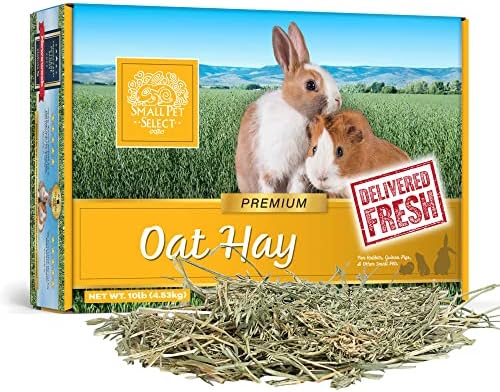 Small Pet Select Oat Hay for Rabbits, Guinea Pigs & Chinchillas, 10 lb | Natural Grass Hay with Seed Heads, High Fiber Forage, For Bunnies, Hamsters, Chinchillas & Other Small Pets