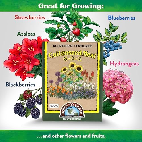 Down To Earth All Natural Fertilizers Organic Cottonseed Meal - 6-2-1, 5 lb | Plant Food for Low pH, Acid Soil Loving Plants, High Nitrogen