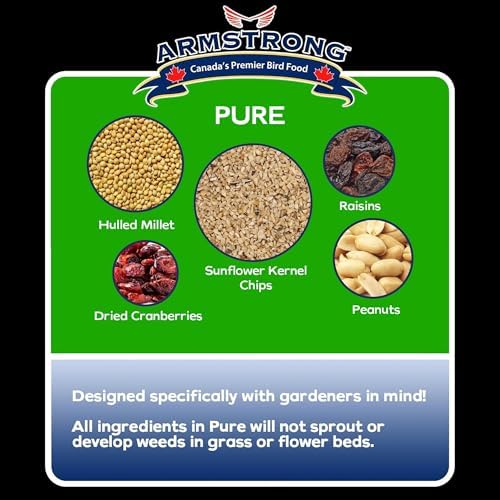 Armstrong Wild Bird Food Royal Jubilee Pure Bird Seed Blend, 20 Pounds - No-Mess, No-Sprouting Formula for Clean & Easy Feeding