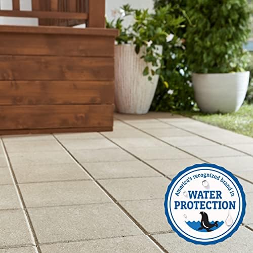 Thompson’s WaterSeal Multi-Surface Waterproofer Stain, Clear, 1 Gallon