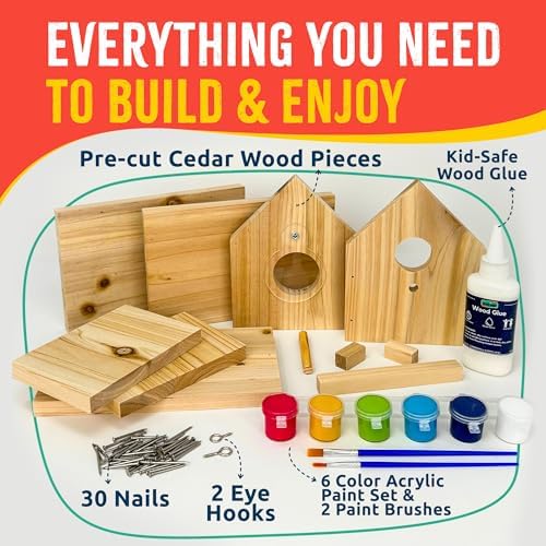Jr Bird House Kit, DIY Cedar Wood Birdhouse for Outdoors with Paint