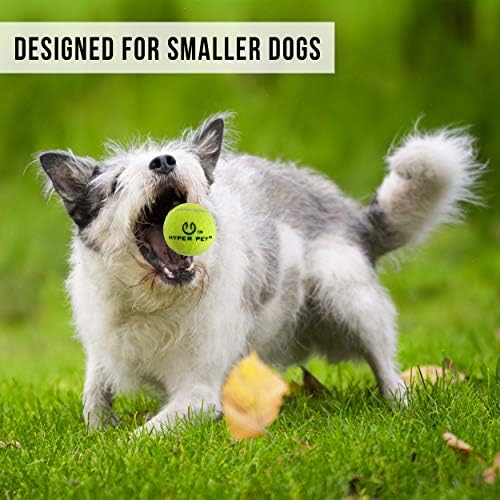 Hyper Pet GoDogGo Fetch Machine Dog Ball Launcher & Automatic Ball Launcher for Dogs With Five 2.5" Balls for Dogs 20-60 Pounds