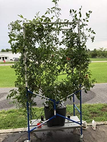 16.5 Gallon Deep Water Culture (DWC) Hydroponic Growing System Complete Kit (1)