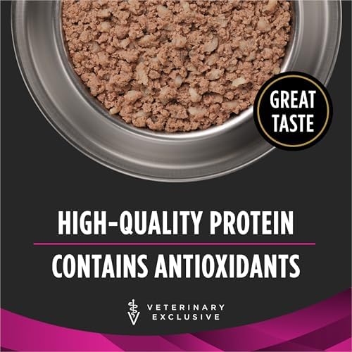 Purina Pro Plan Veterinary Diets UR Urinary Ox/St Canine Formula Wet Dog Food - (Pack of 12) 13.3 oz. Cans