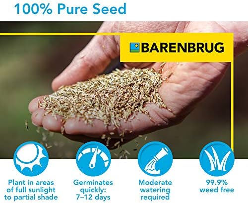 Barenbrug 25625 Turf Sense Grass Seed Grows in Areas of Sun and Partial Shade, 25 LB Bag