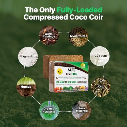 WONDER SOIL | (30 Quarts) The Only Ready to Plant Compressed Coco Coir Fully Loaded with Nutrients | 3-Pack Organic Coco Coir Brick | 3 Bricks
