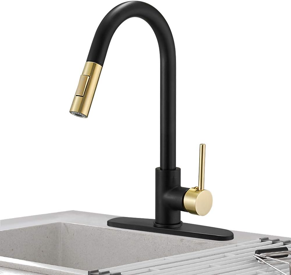 Hoimpro Kitchen Sink Faucet with Pull Out Sprayer, Rv Kitchen Faucet Pull Down Sprayer