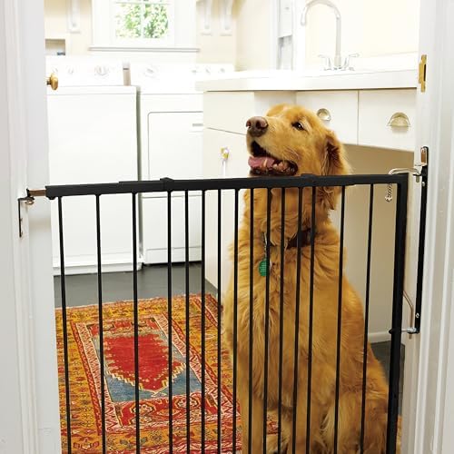 Cardinal Gates MG25 Duragate Baby and Pet Gate, 26.5-41.5 in, Black | Steel hardware-mounted gate for children and pets. One-hand latch, two-way swing, and angle-capable installation.