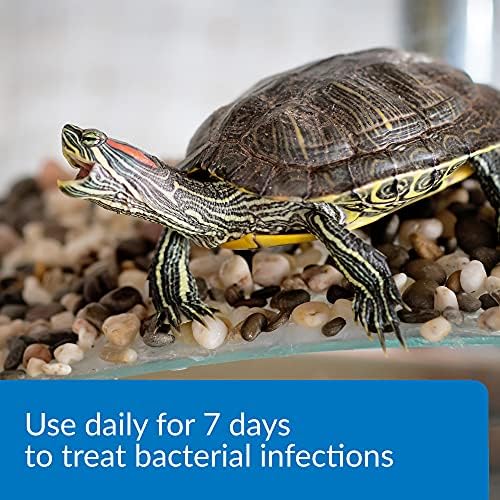 API TURTLE FIX Turtle Remedy 8-Ounce Bottle