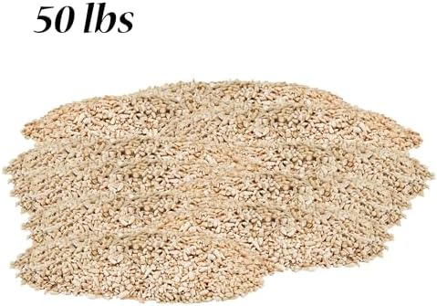 BestNest Medium Sunflower Chips, 50 lbs.