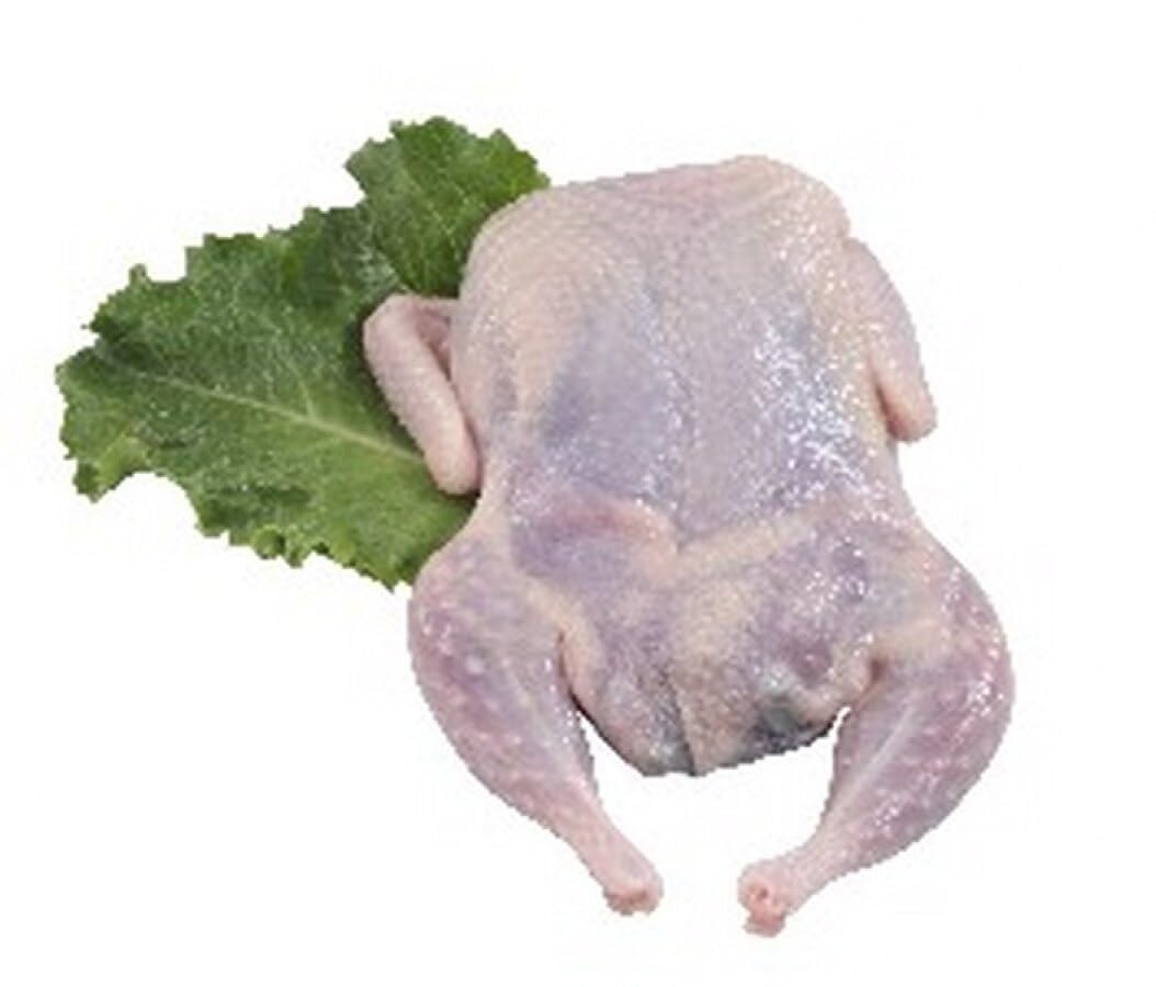 Semi-boneless Texas Cross Quail 4-5oz - 24 Count | Premium, All-Natural Quail for Gourmet Dishes, Bulk Pack for Chefs and Culinary Lovers