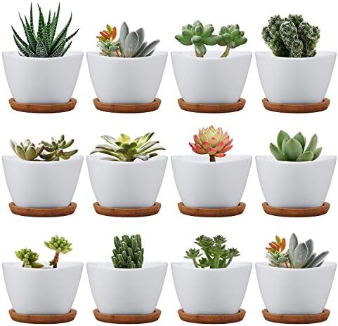 Succluent Pots ，Small Flower Pots Planter Pots with Drinage,Ceramic Flowers Pots with Bamboo Tray for Cactus(12 Pack)