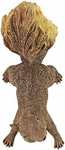 Design Toscano Simone, The Squirrel Hanging Sculpture
