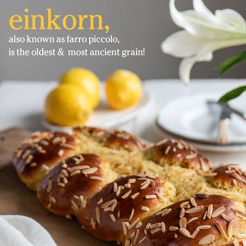 Jovial Einkorn 100% Organic Wheat Berries - Einkorn Berries, Organic Farro, High Protein, Non-GMO, USDA Certified, Lower Carb, Whole Grain, Product of Italy - 16 Oz