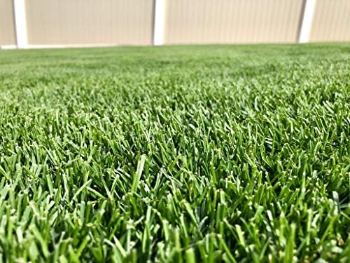 Barenbrug Turf Blue Healthy Grass Technology Grass Seed with Yellow Jacket Coating - Heavy Traffic Seed for Use on Sports Fields, Golf Courses, Parks