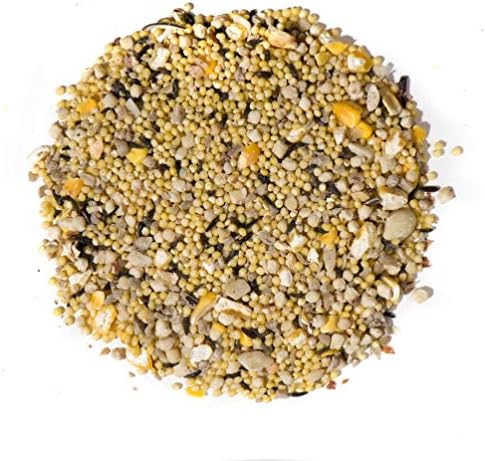 Nature's Nuts Waste Free No Sprout Blend - 20 lb. -Wild Bird Food
