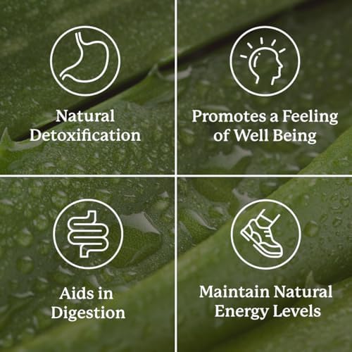 Nature's Sunshine Lower Bowel Stimulator - Helps Relieve Constipation - Cleanse & Detox Your Colon with Natural Herbal Ingredients - 25 Servings - 100 Vegitabs