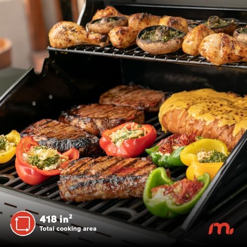 Megamaster Deluxe 2 Burner Gas Grill, Foldable Shelves with Warming Rack | Offers 28000 BTU, Built-In Thermometer, Electronic Ignition