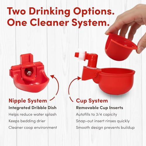 RentACoop 2 Gallon High Rise Chicken Waterer with Cups & Nipples