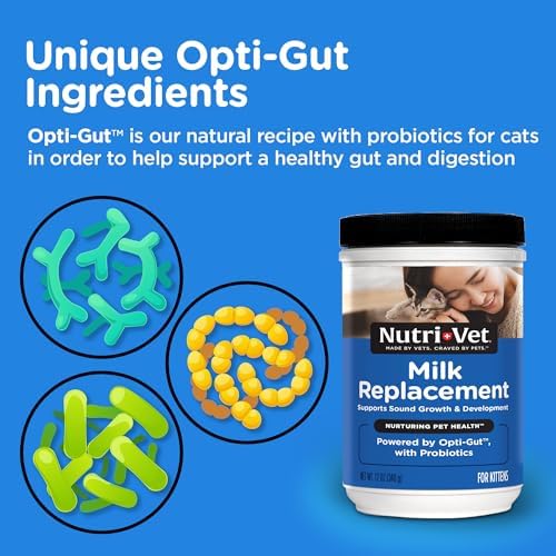 Nutri-Vet Kitten Milk Replacer, Milk Replacer for Kittens, 12oz | Kitten Formula, Powdered Milk, Nursing Support, Cat Care, Whelping Supplies