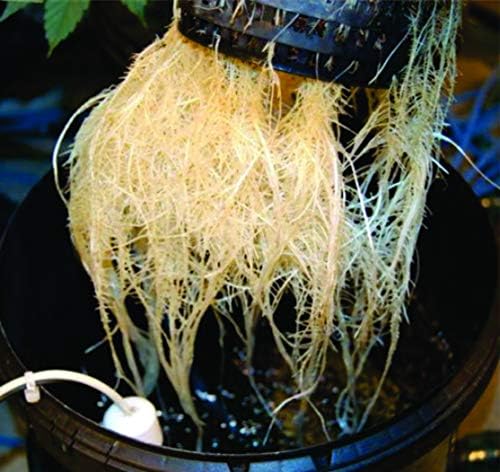 The Atwater HydroPod - DWC Deep Water Culture Garden System Kit - 5 Gallon Bubble Bucket - Bubbleponics - Nutrients & pH Testing/Adjusting Kits are
