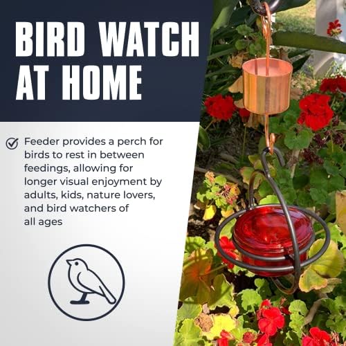Monarch Abode Hanging Hummingbird Feeders for Outdoors – Single Handcrafted Hanging Glass Hummingbird Feeder with Red Bowl & Perch