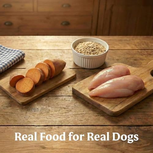 Bil-Jac Small Breed Adult Dry Dog Food with Chicken & Probiotics | 6 lb | Fresh Chicken Is #1 Ingredient with Easy-to-Chew Bites, Probiotics & Omega Fatty Acids for Energy, Digestion & Skin Health