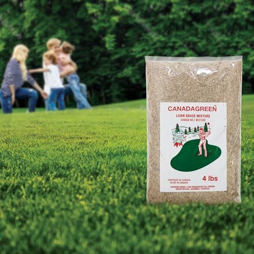 Canada Green Grass Lawn Seed - 4 Pound Bag Grows Healthy Rich Green Fast Growing Grass Lawn Seed Plants Yard Garden