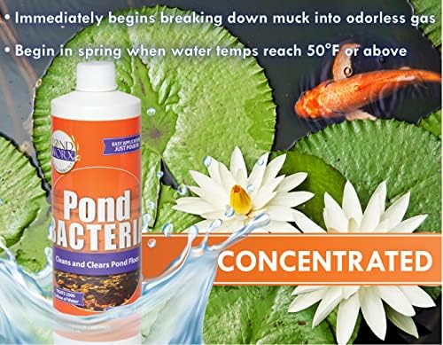 PondWorx Pond Bacteria - Formulated for Large Ponds, Water Features and Safe for Koi - Gallon