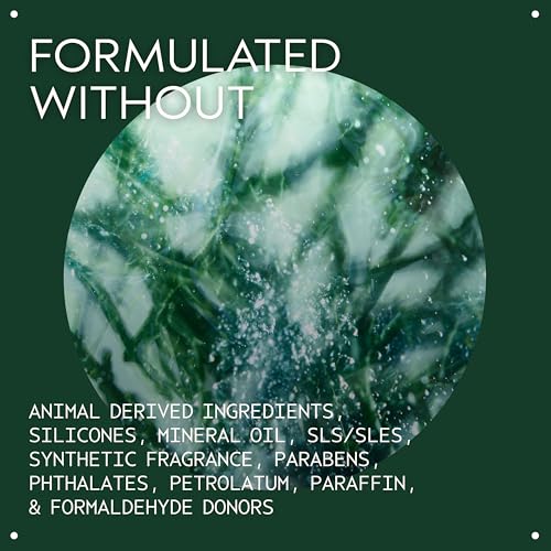 Aveda Botanical Kinetics Toning Mist | Refreshing Toner for Normal to Oily Skin | Hydrates & Balances Skin, 5 Fl Oz