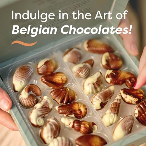 Guylian Belgian Chocolate Seashells, 22 Pieces Hazelnut Praliné, 8.82 Ounce | Gourmet Truffles, Assorted White and Milk Chocolate
