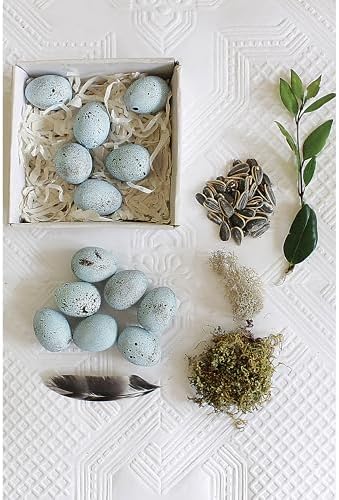 Creative Co-Op Boxed Set of 12 Blue Speckled Ceramic Robin Eggs