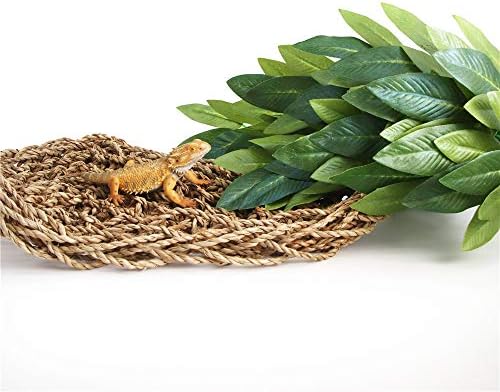 SLSON Reptile Plants Hanging Silk Terrarium Plant with Suction Cup for Bearded Dragons, Lizards, Geckos