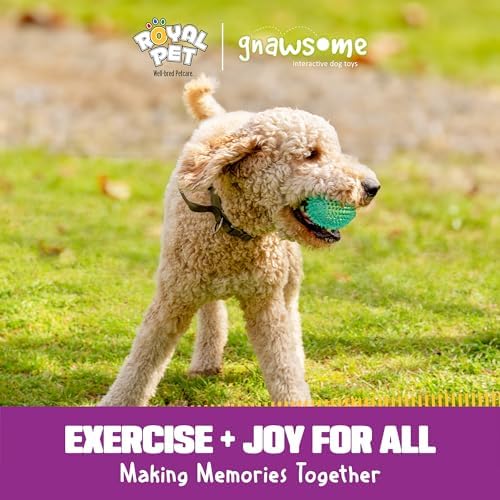 Gnawsome™ 4.5” Spiky Squeaker Football Dog Toy - Large, Cleans Teeth and Promotes Good Dental and Gum Health for Your Pet, Colors Will Vary