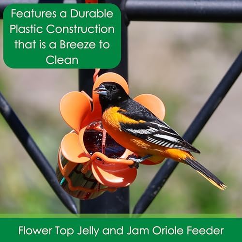 Glass Jelly and Jam Bird Feeder, Hanging Oriole Treat Dish | Jelly and Jam Feeder; Glass Dish; Hanging Design; Attracts Orioles