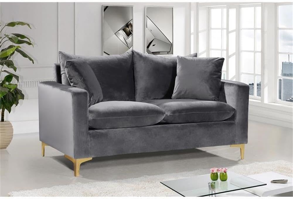 Meridian Furniture Naomi Collection Modern | Contemporary Grey Velvet Upholstered Loveseat with Stainless Steel Base in a Rich Gold or Chrome Finish, 633Grey-L