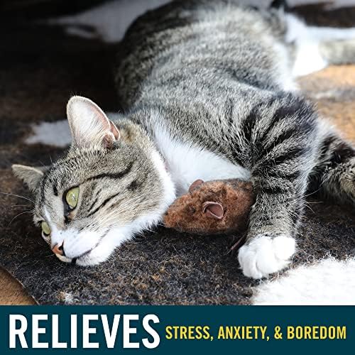 OurPets Play-N-Squeak Twice the Mice Cat Toy, 2 Piece Set, Catnip Filled | Real mouse sound effect, electronic squeaker inside, sparks hunting instinct, engaging design, for indoor felines every day