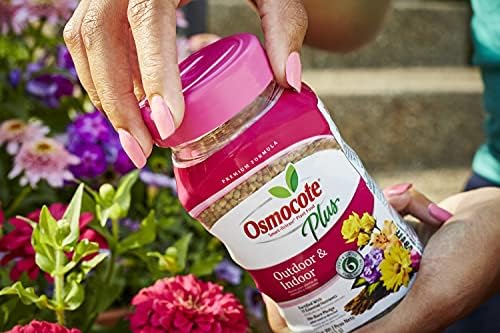 Osmocote Smart-Release Plant Food Plus Outdoor & Indoor, Plant Fertilizer, 1 lb. (12-Pack)