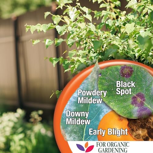 Bonide Captain Jack Copper Fungicide 16 oz Concentrated Plant Disease Control Solution for Organic Gardening | Plant Disease Control Solution, For Organic Gardening