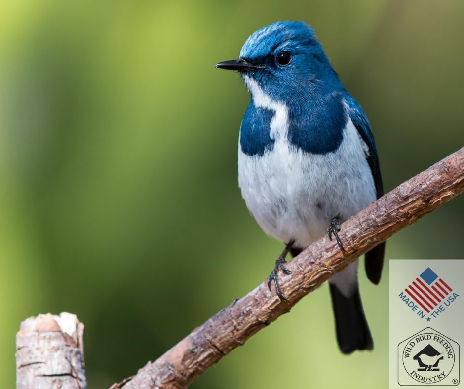 Blue Seal Nature's Choice Wild Bird Seed | High Energy Blend, Sunflower and White Safflower Seeds, No Filler | 20 Pound Bag