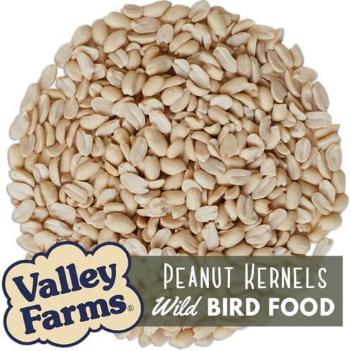 Valley Farms Whole Peanut Kernels (4 LB) Wild Bird Food for Outside Feeders, Peanuts for Birds, Chickadee Bird Seed for Outside Feeders