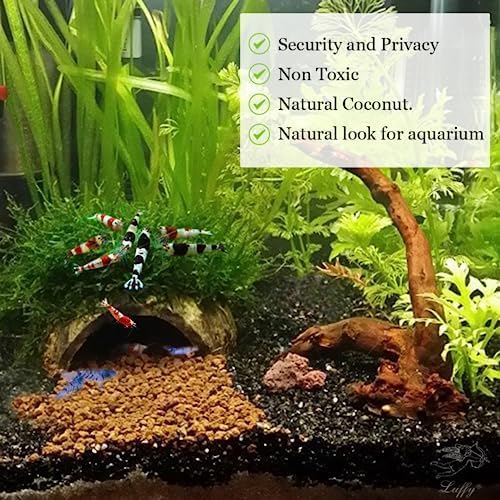 SunGrow Coconut Aquarium Shrimp Cave, Small Fish Tank Decorations Accessories, Comfortable Shelter and Breeding Area for Crustaceans, Fish Hideout Aquarium Décor for Spawning (1 piece)