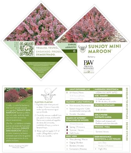 2 Gallon Proven Winner Sunjoy Mini Maroon Barberry Shrub