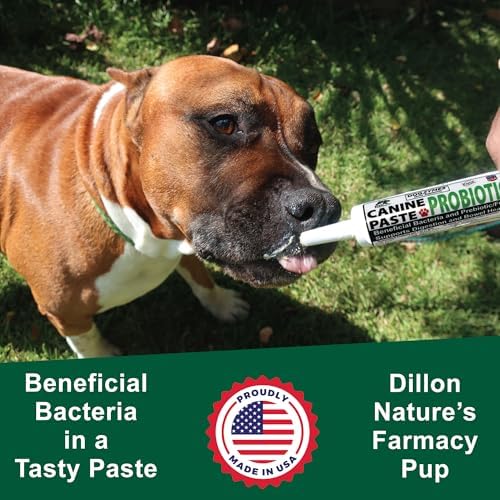 Dogzymes Canine Probiotic Paste Beneficial Bacteria-Enzyme 2.3 Billion CFU/gm Saccharomyces boulardii Organic Dried Honey Powder (30 Gram)