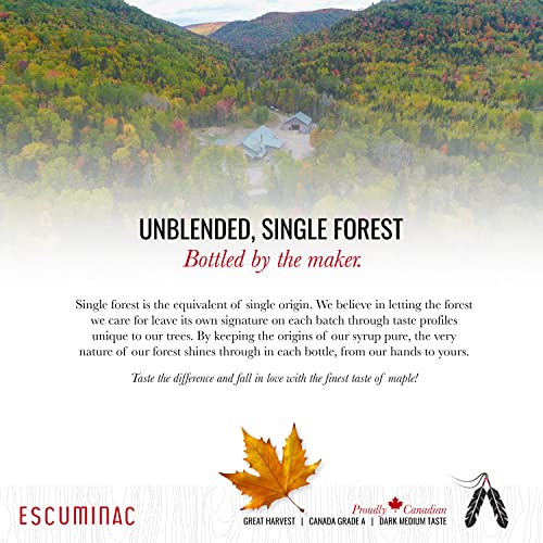 Escuminac Canadian Maple Syrup, Late Harvest Dark Robust Taste, Pure & Organic. Mini Glass Bottles 12 x 50ml, Bulk Format for Party Favors, Wedding