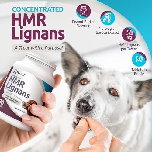 HMR Lignans for Dogs - Enhancer for Overall Wellness, Immune Support for Dogs - Norway Spruce Extract Holistic Dog Health - Digestion