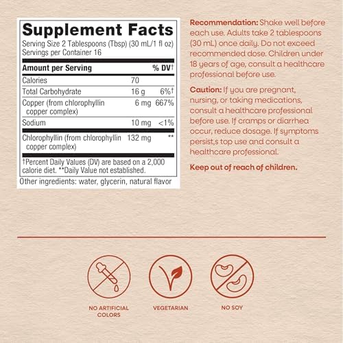 Nature's Way Chlorofresh Liquid Chlorophyll, Chlorophyllin Copper Complex, Internal Deodorant Supplement, Supports Healthy Skin and Detox Pathways*