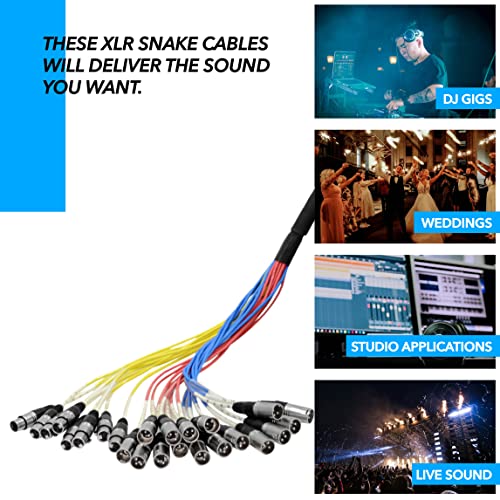 Seismic Audio Speakers 12 Channel Low Profile XLR Send Circuit Board Snake Cable, XLR Splitter Cable, 100 Feet